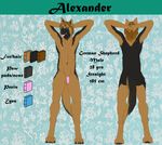  anthro asian book canine dog german_shepherd hair male mammal model_sheet nude penis scar yenza 