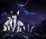  2016 black_hair cat detailed_background duo feline fur green_eyes grey_fur hair heterochromia mammal night orange_eyes outside paws reysi scar sitting sky smile star starry_sky yellow_eyes 