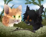  arachnid arthropod black_fur black_hair canine cat day detailed_background feline fur green_eyes hair mammal orange_eyes outside pink_nose reysi sky smile spider tan_fur teeth 