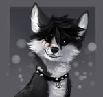  black_eyes black_hair black_lips black_nose canine collar dog feral fur grey_fur hair husky mammal reysi smile solo teeth 