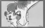  2017 anthro black_and_white clothed clothing desmond_(zootopia_fan_character) disney duo eyes_closed fan_character feline female fur giraffe husband_and_wife male mammal mistermead molly_(zootopia_fan_character) monochrome nuzzling size_difference smile spots spotted_fur zootopia 