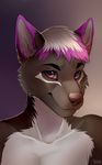  anthro canine felicia_cat fur hair headshot looking_at_viewer male mammal nude smile solo 