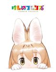  animal_ears blonde_hair brown_eyes copyright_name gloves hair_between_eyes kemono_friends logo looking_at_viewer official_art peeking_out serval_(kemono_friends) serval_ears short_hair simple_background solo table white_background yoshizaki_mine 