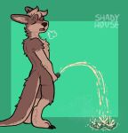  anthro blush bodily_fluids brown_body eyes_closed genital_fluids genitals green_background hi_res holding_penis kangaroo long_tail macropod male male_peeing mammal marsupial open_mouth peeing penis relieved shadyhouse sigh simple_background solo tail urine urine_pool urine_stream 