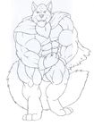  canine dragon_ball lavenda_(dragon_ball_super) male mammal muscular the-manbeast wolf 