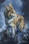  ambiguous_gender black_nose blue_eyes brown_fur canine coyote detailed_background feral fur grass heyriel mammal no_sclera solo standing 