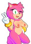  amy_rose anthro breasts choker clothing eyelashes female gloves green_eyes hairband hand_on_hip hedgehog jamz kneeling mammal navel nipples one_eye_closed open_mouth pussy solo sonic_(series) v_sign 