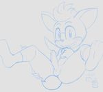  anthro anus balls chip_(sonic) erection jammiez male smile solo sonic_(series) 