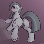  2017 anus blush butt cutie_mark earth_pony equine female feral friendship_is_magic grey_hair hair horse looking_back mammal marble_pie_(mlp) my_little_pony piecee01 pony pussy simple_background solo 