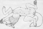  2016 animal_genitalia animal_pussy canine canine_pussy coyote female feral hindpaw looking_at_viewer lying mammal on_back paper-wings paws pussy sketch solo spread_legs spreading teats 