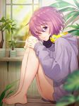  bare_legs barefoot chair cup fate/grand_order fate_(series) feet_on_chair from_side haru_(hiyori-kohal) headphones headphones_around_neck hood hoodie indoors knees_up leg_hug looking_at_viewer mash_kyrielight mug naked_hoodie plant potted_plant purple_eyes purple_hair short_hair sitting solo sweater window 