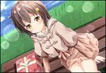  bench black_hair brown_dress brown_eyes bubble capelet coat dress dutch_angle fur_trim gift grass hair_ornament high_school_fleet irako_mikan long_sleeves looking_at_viewer pirason short_hair solo star star_hair_ornament 