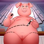  anthro female glass green_eyes lonbluewolf low-angle_view mammal marker nipples nude pig porcine pussy rosita_(sing) sing_(movie) smile solo window 