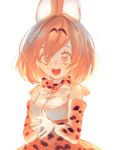  :d animal_ears bad_id bad_pixiv_id bare_shoulders bow bowtie elbow_gloves eyelashes fingers_together gloves gwen_(g90z) hands_together kemono_friends looking_at_viewer open_mouth orange_eyes orange_hair sanpaku serval_(kemono_friends) serval_ears serval_print shirt short_hair simple_background skirt sleeveless sleeveless_shirt smile solo tareme teeth upper_body white_background white_shirt 