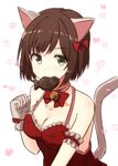  1girl animal_ears breasts cat_ears cat_tail cleavage idolmaster maekawa_miku mashayuki short_hair tail 
