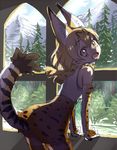  :d animal_ears bare_shoulders bow bowtie bush cloud cloudy_sky day elbow_gloves extra_ears eyebrows_visible_through_hair from_behind from_side gloves ground hair_between_eyes indoors jpeg_artifacts kemono_friends looking_at_viewer looking_back mountain open_mouth orange_eyes orange_hair pine_tree serval_(kemono_friends) serval_ears serval_print serval_tail shadow shirt short_hair sketch skirt sky sleeveless sleeveless_shirt smile solo tail tareme thighhighs tree white_shirt window yoshida_on zettai_ryouiki 