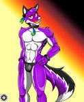  abs anthro biceps bulge canine clothing collar fox fur m.mcallister male mammal muscular navel phantomfullforce pinup pose solo speedo swimsuit underwear 