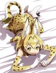  :d animal_ears bare_shoulders bed_sheet bow bowtie clenched_hands commentary_request dress elbow_gloves eyebrows eyebrows_visible_through_hair eyelashes full_body gloves hair_between_eyes jpeg_artifacts kemono_friends looking_at_viewer lying on_stomach open_mouth orange_hair ribbon ribbon-trimmed_clothes ribbon-trimmed_skirt ribbon_trim sanpaku serval_(kemono_friends) serval_ears serval_print serval_tail shadow shirt shoe_ribbon short_hair sketch skirt sleeveless sleeveless_dress sleeveless_shirt smile socks solo striped_tail tail tareme white_footwear yellow_eyes yoshida_on 