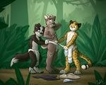  4_fingers anthro black_fur blue_eyes blush brown_fur bulge cervine clothing deer feline fundoshi fur group hand_behind_head iztli japanese_clothing jungle leopard male mammal standing underwear white_fur yellow_fur young 