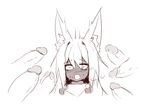  2016 ambiguous_gender animal_humanoid blush canine clothed clothing dark_skin disembodied_penis fox fox_humanoid group hair humanoid inner_ear_fluff long_hair male mammal mana_(sub-res) monochrome open_mouth overwhelmed penis portrait simple_background sketch sub-res sweat white_background wide_eyed 