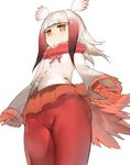 aos bangs buttons closed_mouth cropped_legs expressionless eyebrows_visible_through_hair frilled_sleeves frills from_below gloves half-closed_eyes head_wings japanese_crested_ibis_(kemono_friends) jitome kemono_friends legs long_hair long_sleeves multicolored_hair pantyhose pleated_skirt red_gloves red_legwear red_skirt shirt simple_background skirt solo standing tail thighs two-tone_hair white_background white_hair white_shirt wide_sleeves wings yellow_eyes 