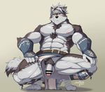  2017 abs absurd_res anthro balls canine censored clothed clothing hi_res horkeukamui humanoid_penis loincloth male mammal penis snowjune solo tokyo_afterschool_summoners topless uncut wolf 