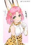  aikatsu! aikatsu!_(series) animal_ears bare_shoulders blush bow bowtie commentary_request cosplay dated elbow_gloves extra_ears flower flying_sweatdrops gloves green_eyes hair_flower hair_ornament kemono_friends kitaouji_sakura looking_at_viewer mokyutan open_mouth pink_hair serval_(kemono_friends) serval_(kemono_friends)_(cosplay) serval_ears serval_print short_hair skirt sleeveless smile solo translated upper_body 