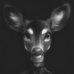  2016 cervine coonkun deer female mammal monochrome solo 