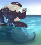  2016 anthro beverage butt cetacean claws cloud explicital holding_object looking_at_viewer male mammal marine muscular muscular_male nude outside pose rear_view relaxing sea sky solo swimming water whale 