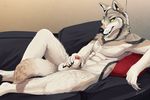  2017 abs animal_genitalia animal_penis anthro armpits balls canine canine_penis fur hi_res looking_at_viewer male mammal nude penis sheath smile snowfoxatheart solo wolf 