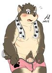  2017 anthro blush boxers_(clothing) canine clothing dog male mammal moritaka overweight penis pubes simple_background solo tokyo_afterschool_summoners underwear white_background xsrwe12 