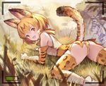  :d animal_ears animal_print arm_support ass bad_id bad_pixiv_id bangs blonde_hair blush bow bowtie brown_eyes commentary_request day elbow_gloves from_behind gloves grass high-waist_skirt kemono_friends legs_apart looking_at_viewer looking_back lying multicolored multicolored_clothes multicolored_gloves multicolored_hair multicolored_legwear on_stomach open_mouth outdoors panties pepeto_(cocoyuzumugi) serval_(kemono_friends) serval_ears serval_print serval_tail shirt short_hair skirt sleeveless sleeveless_shirt smile solo streaked_hair tail tareme underwear upskirt viewfinder white_shirt yellow_panties 
