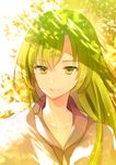 androgynous bangs closed_mouth collarbone commentary_request dappled_sunlight enkidu_(fate/strange_fake) eyebrows_visible_through_hair fate/strange_fake fate_(series) green_hair highres long_hair looking_at_viewer male_focus shade smile solo sunlight tougetsu_hajime upper_body yellow_eyes 