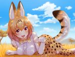  animal_ears animal_print bangs blonde_hair blue_sky blush breast_pocket breasts brown_dress brown_gloves cloud cloudy_sky day dress elbow_gloves eyebrows_visible_through_hair frills gloves grass hair_between_eyes kemono_friends looking_at_viewer lying medium_breasts on_stomach open_mouth outdoors paw_pose pocket savannah serval_(kemono_friends) serval_ears serval_print serval_tail shade short_dress sky smile solo sukemyon tail teeth thighhighs white_gloves yellow_eyes 