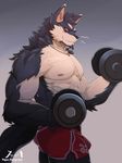  abs anthro biceps bulge canine male mammal muscular nipples tiger.a wolf 