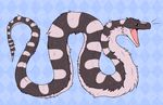  2016 ambiguous_gender feral fluffy fur grey_fur henzolin multicolored_fur open_mouth reptile scalie snake solo spots striped_fur stripes two_tone_fur white_fur yellow_eyes 