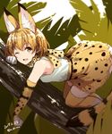  2017 animal_ears animal_print bare_shoulders blonde_hair blurry blush bow bowtie breasts dated depth_of_field elbow_gloves gloves in_tree kemono_friends looking_at_viewer nabeshima_tetsuhiro one_eye_closed open_mouth serval_(kemono_friends) serval_ears serval_print serval_tail shirt short_hair skirt sleeveless sleeveless_shirt small_breasts smile solo tail thighhighs top-down_bottom-up tree twitter_username white_shirt yellow_eyes 