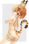  animal_ears ass backless_outfit bare_back bare_shoulders blonde_hair blush breasts cowboy_shot dress extra_ears gloves grey_sweater halterneck highres kemono_friends looking_at_viewer masaharu_(nuaa) medium_breasts meme_attire naked_sweater serval_(kemono_friends) serval_ears serval_tail short_hair sideboob solo sweater sweater_dress tail turtleneck turtleneck_sweater virgin_killer_sweater yellow_eyes 