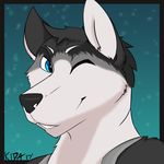  canine cute dog headshot husky icon kida_howlette looking_at_viewer male mammal one_eye_closed reaction_image smile wink wolf 