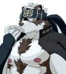  2017 anthro canine chest_tuft clothed clothing fur horkeukamui male mammal muscular nipples pecs rossi_thukigata solo tokyo_afterschool_summoners tuft wolf 