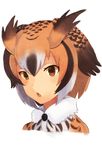  :o bangs brown_eyes brown_hair buttons eurasian_eagle_owl_(kemono_friends) fur_collar head_wings highres kemono_friends light_brown_hair looking_at_viewer multicolored_hair short_hair solo sonzai_soumei upper_body white_hair 