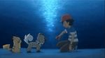  animated animated_gif moon night pikachu pokeball pokemon pokemon_sm_(anime) rockruff satoshi_(pokemon) 