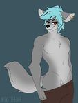  anthro balls canine clothed clothing flaccid fur hair looking_at_viewer male mammal penis puccaruu smile solo standing topless 