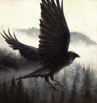  2015 ambiguous_gender avian beak bird black_eyes black_feathers corvid detailed_background feathered_wings feathers feral flying forest kenket mist outside painting_(artwork) raven side_view simple_background solo spread_wings talons traditional_media_(artwork) tree white_background wings 