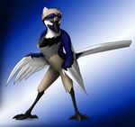  2011 anthro avian beak bird blue_eyes corrvo digital_media_(artwork) eyewear feathered_wings feathers gradient_background looking_back male multicolored_feathers purple_sclera simple_background solo standing tail_feathers winged_arms wings 