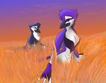  2012 anthro avian bird blue_eyes brown_eyes cloud corrvo digital_media_(artwork) duo feathered_wings feathers female male multicolored_feathers outside purple_sclera sky standing sunset winged_arms wings yellow_sclera 