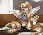  4_toes anthro breasts canine clothed clothing digitigrade dog feathered_wings feathers female looking_at_viewer mammal open_mouth rope sitting solo spread_legs spreading teeth toes tongue tril-mizzrim wide_hips wings 