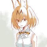  animal_ears armpit_peek bangs bare_shoulders blush bow bowtie brown_eyes commentary_request eyelashes grey_background hair_between_eyes inumoto jpeg_artifacts kemono_friends looking_at_viewer nose_blush nostrils open_mouth orange_hair parted_lips sanpaku serval_(kemono_friends) serval_ears shirt short_hair simple_background sketch sleeveless sleeveless_shirt solo tsurime two-tone_background upper_body white_background white_shirt 