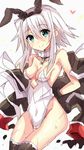  1girl animal_ears bare_shoulders blue_eyes blush breasts bunny_ears choker coat fate/grand_order fate_(series) gloves grey_hair leotard mary_read_(fate/grand_order) scar short_hair smile thighhighs 