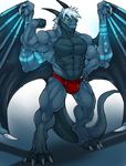  arody clothing dragon male muscular speedo swimsuit wings 